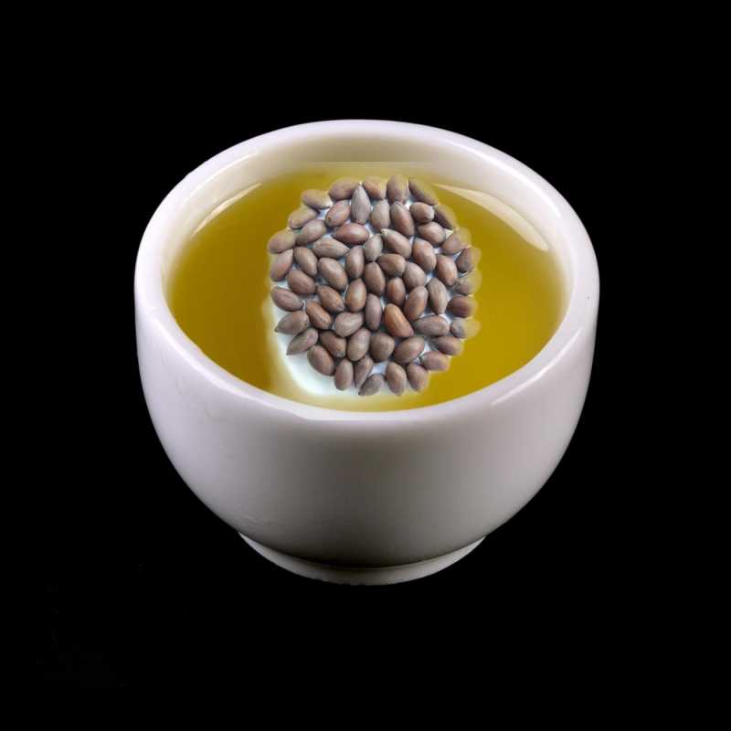 Bavlníkový olej (Cotton Seed Oil) sa získava lisovaním semien rastliny bavlníka - Gossypium herbaceum. Semená sú vedľajším produktom pri výrobe bavln