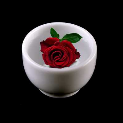 Kvetinová voda, hydrolát, Ruža damascénska 1 l